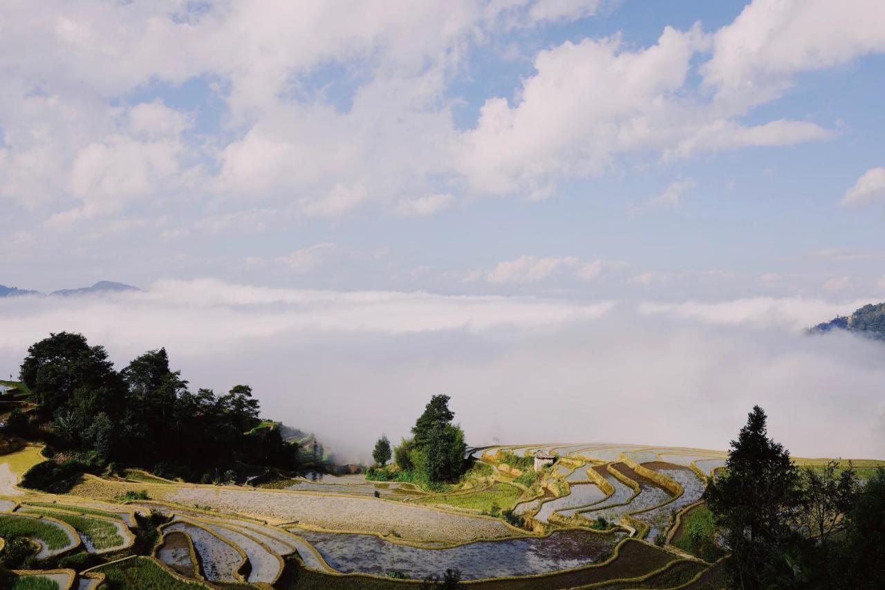 The Twelve Manor•Terraces Lodge 元陽県 エクステリア 写真