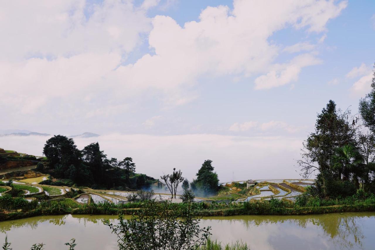 The Twelve Manor•Terraces Lodge 元陽県 エクステリア 写真